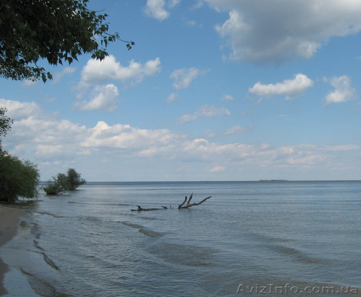 Участок для отдыха всей семьей! - <ro>Изображение</ro><ru>Изображение</ru> #1, <ru>Объявление</ru> #33541