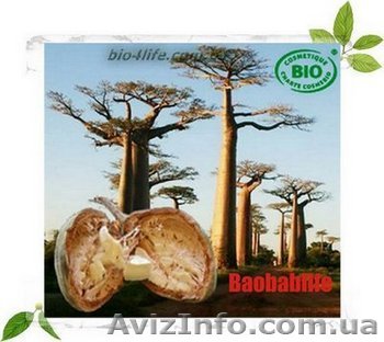 Баобаблайф-натуральный пребиотик - <ro>Изображение</ro><ru>Изображение</ru> #1, <ru>Объявление</ru> #71791
