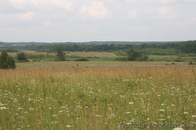 Продажа фирмы с лицензией на добычу гнейсов и гранитов  - <ro>Изображение</ro><ru>Изображение</ru> #1, <ru>Объявление</ru> #78826