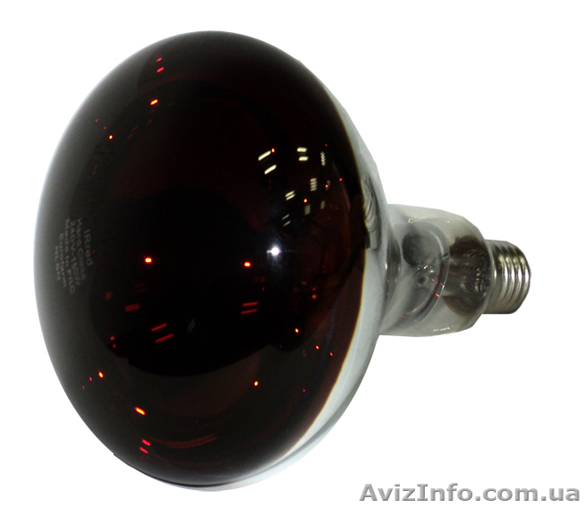 Оборудование и корма для животных - <ro>Изображение</ro><ru>Изображение</ru> #1, <ru>Объявление</ru> #110930