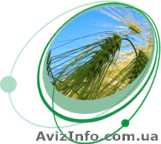 Гербициды базагран, банвел, гезагард, гранстар, евролайтинг, майстер,  - <ro>Изображение</ro><ru>Изображение</ru> #1, <ru>Объявление</ru> #171732