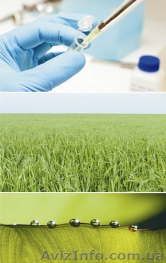       Микроудобрения     - <ro>Изображение</ro><ru>Изображение</ru> #1, <ru>Объявление</ru> #170207