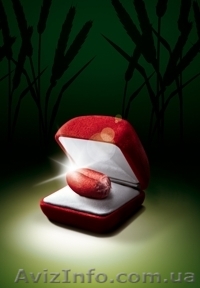 Протравители семян - <ro>Изображение</ro><ru>Изображение</ru> #1, <ru>Объявление</ru> #170197