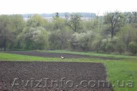 Обменяю 2 га земли на авто не старше 2005 года. - <ro>Изображение</ro><ru>Изображение</ru> #1, <ru>Объявление</ru> #871842