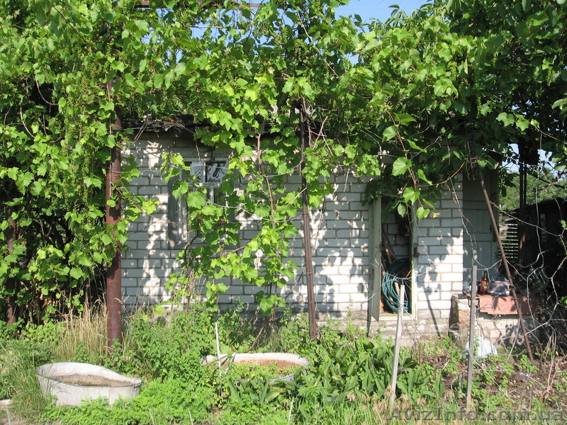 дача на берегу Днепра - <ro>Изображение</ro><ru>Изображение</ru> #1, <ru>Объявление</ru> #861414