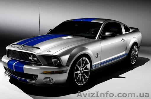 перевозчик , перевозка без вопросов - <ro>Изображение</ro><ru>Изображение</ru> #1, <ru>Объявление</ru> #968319