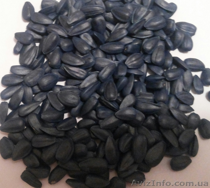 ЕлитСемХоз реализует семена подсолнечника - <ro>Изображение</ro><ru>Изображение</ru> #1, <ru>Объявление</ru> #1021554