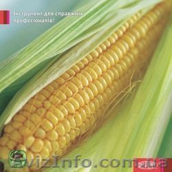 Выгодное предложение, Гербицид Таск, Таск цена 50$/кг. - <ro>Изображение</ro><ru>Изображение</ru> #1, <ru>Объявление</ru> #1219292