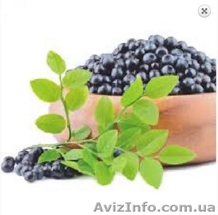 Самый эффективный крем от купероза - <ro>Изображение</ro><ru>Изображение</ru> #1, <ru>Объявление</ru> #1518148