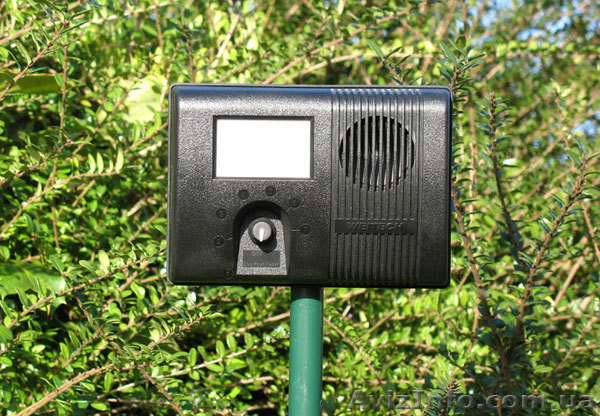 Как защитить хозяйство от диких животных, отпугиватель собак - <ro>Изображение</ro><ru>Изображение</ru> #1, <ru>Объявление</ru> #1627427