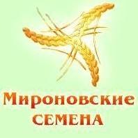 Реализуем посевной материал яровых с/х культур. - <ro>Изображение</ro><ru>Изображение</ru> #1, <ru>Объявление</ru> #1675764