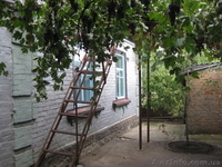 Продам дом за городом - <ro>Изображение</ro><ru>Изображение</ru> #4, <ru>Объявление</ru> #81978