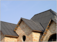 Кровельный материал "Биолайн" - <ro>Изображение</ro><ru>Изображение</ru> #8, <ru>Объявление</ru> #298753