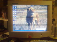 Компьютер (ASUS P4P800-UM) - <ro>Изображение</ro><ru>Изображение</ru> #1, <ru>Объявление</ru> #427522