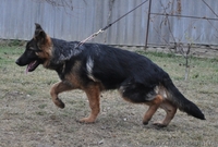 Трансцендентальный - <ro>Изображение</ro><ru>Изображение</ru> #3, <ru>Объявление</ru> #466632