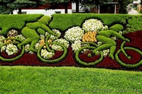 28 ноября 2012 г. начало занятий по курсу 'Ландшафтный дизайн"  - <ro>Изображение</ro><ru>Изображение</ru> #2, <ru>Объявление</ru> #621992