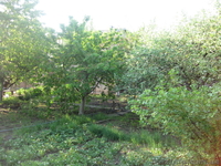 Продам дачу,в Марьяноке,6 соток, - <ro>Изображение</ro><ru>Изображение</ru> #5, <ru>Объявление</ru> #650501