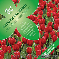 ---------Курсы ландшафтного дизайна в Кировограде.------------- - <ro>Изображение</ro><ru>Изображение</ru> #3, <ru>Объявление</ru> #616516