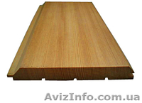 Лиственница сибирская Кировоград Украина - <ro>Изображение</ro><ru>Изображение</ru> #6, <ru>Объявление</ru> #153156