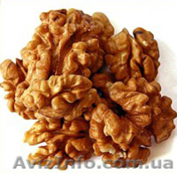 Продам грецкий орех и фасоль - <ro>Изображение</ro><ru>Изображение</ru> #1, <ru>Объявление</ru> #726363