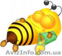 Курсы обучения работе  в системе электронного документооборота «M.E.Doc». Продаж - <ro>Изображение</ro><ru>Изображение</ru> #3, <ru>Объявление</ru> #731049