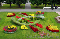 Курсы ландшафтного дизайна. самые лучшие популярные курсы на юге - <ro>Изображение</ro><ru>Изображение</ru> #1, <ru>Объявление</ru> #812976