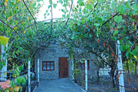 Дача у моря Орджоникидзе 4 сот. Крым Феодосия - <ro>Изображение</ro><ru>Изображение</ru> #2, <ru>Объявление</ru> #841673