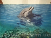 3 д полы и натяжные потолки - <ro>Изображение</ro><ru>Изображение</ru> #2, <ru>Объявление</ru> #889021