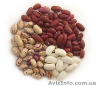 закупаем Грецкий Орех,фасоль,семена тыквы - <ro>Изображение</ro><ru>Изображение</ru> #1, <ru>Объявление</ru> #962372
