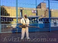 Дезинсекция, дератизация, дезинфекция - <ro>Изображение</ro><ru>Изображение</ru> #3, <ru>Объявление</ru> #1181248