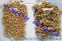 Продам сепаратор зерна ИСМ-10 - <ro>Изображение</ro><ru>Изображение</ru> #7, <ru>Объявление</ru> #1230961