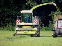 Уборка сенажа и силоса - <ro>Изображение</ro><ru>Изображение</ru> #1, <ru>Объявление</ru> #1296247