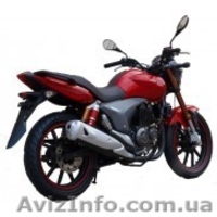 Мототехника по ценам производителя. - <ro>Изображение</ro><ru>Изображение</ru> #7, <ru>Объявление</ru> #1301073