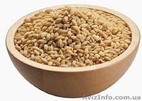 Продам крупы собственного производства - <ro>Изображение</ro><ru>Изображение</ru> #5, <ru>Объявление</ru> #1526840