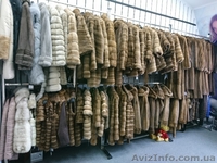 Норковая автоледи куртка - <ro>Изображение</ro><ru>Изображение</ru> #4, <ru>Объявление</ru> #1573283