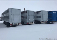 Двухэтажный полуприцеп скотовоз SCHMITZ (для перевозки животных) - <ro>Изображение</ro><ru>Изображение</ru> #2, <ru>Объявление</ru> #1644264