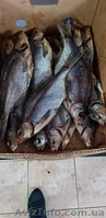 Продам сушеную лещ тарань сом жерех окунь густера судак - <ro>Изображение</ro><ru>Изображение</ru> #4, <ru>Объявление</ru> #1643895