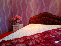 Сдам 3-х комнатную квартиру посуточно в Кировограде (центр). 0952569069 - <ro>Изображение</ro><ru>Изображение</ru> #2, <ru>Объявление</ru> #565791