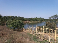 Земельный участок под жилую застройку возле Кропивницкого. - <ro>Изображение</ro><ru>Изображение</ru> #3, <ru>Объявление</ru> #1679560