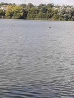 Дача жилая. Кропивницкий - <ro>Изображение</ro><ru>Изображение</ru> #6, <ru>Объявление</ru> #1724338