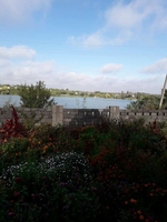 Дача жилая. Кропивницкий - <ro>Изображение</ro><ru>Изображение</ru> #7, <ru>Объявление</ru> #1724338