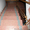 плитка,брусчатка,подоконники,ступени, лестницы, столешницы, камины, памятники - <ro>Изображение</ro><ru>Изображение</ru> #1, <ru>Объявление</ru> #902111