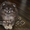 VIP Щеночки карликового померанского шпица высокого качества Тип-Мишки! - <ro>Изображение</ro><ru>Изображение</ru> #6, <ru>Объявление</ru> #955000