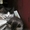 Очень пушистые котята мечтают о доме!!! - <ro>Изображение</ro><ru>Изображение</ru> #3, <ru>Объявление</ru> #974654