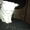 Котенок ангорской кошки в хорошие руки - <ro>Изображение</ro><ru>Изображение</ru> #2, <ru>Объявление</ru> #971199