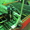 Стол плазменной резки металла с ЧПУ - <ro>Изображение</ro><ru>Изображение</ru> #2, <ru>Объявление</ru> #834071