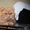 На вязку приглашает шотландский вислоухий кот!! - <ro>Изображение</ro><ru>Изображение</ru> #3, <ru>Объявление</ru> #1092203