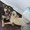 Щеночки от очень маленькой собачки мечтают о доме!  - <ro>Изображение</ro><ru>Изображение</ru> #5, <ru>Объявление</ru> #1086006