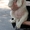 Белые щенки в хорошие руки!!!  - <ro>Изображение</ro><ru>Изображение</ru> #2, <ru>Объявление</ru> #1093916