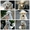 Белые щенки в хорошие руки!!!  - <ro>Изображение</ro><ru>Изображение</ru> #1, <ru>Объявление</ru> #1093916